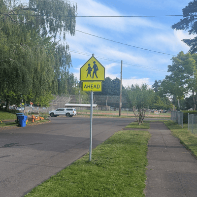 A school crossing sign on a neighborhood road.